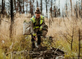 El Consejo da luz verde definitiva a la Ley de Restauración de la Naturaleza