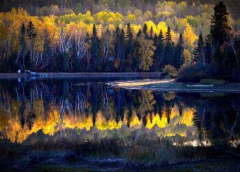 Reivindicaciones ecológicas: Hacer frente al greenwashing y fomentar las decisiones ecológicas en los consumidores