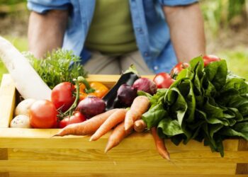 La superficie destinada a la producción agrícola aumentó hasta las 16,9 hectáreas en 2022