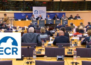 El grupo de extrema derecha ECR se convierte en la tercera fuerza más grande del Parlamento Europeo