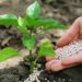 En la UE el uso de fertilizantes destinado a la agricultura descendió un 10% en 2022