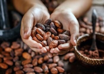 En mayo de 2024 el precio del cacao se acrecentó un 6,3% en comparación al año anterior
