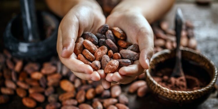 En mayo de 2024 el precio del cacao se acrecentó un 6,3% en comparación al año anterior