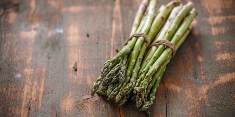 Bruselas incluye al espárrago verde de Guadalajara en el registro de Indicaciones Geográficas Protegidas