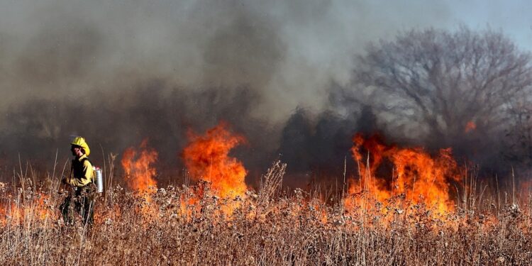La UE envía apoyo aéreo para combatir los incendios forestales en Albania