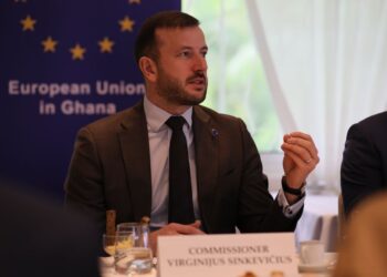 Válean y Sinkevicius anuncian su dimisión de la Comisión para ocupar sus escaños en el PE