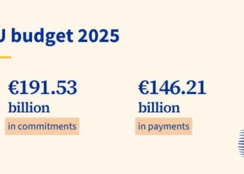 El Consejo acuerda su posición sobre el proyecto de presupuesto para 2025