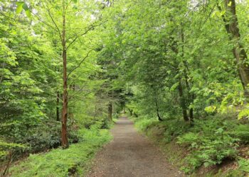 La UE refuerza su apoyo para hacer frente a los incendios forestales