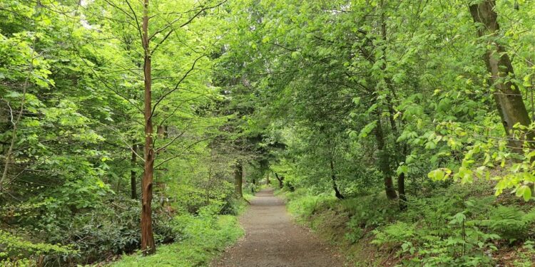La UE refuerza su apoyo para hacer frente a los incendios forestales