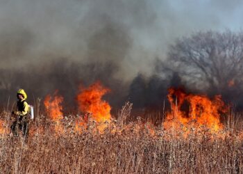Se pone en marcha la flota de aviones RescEU como respuesta a los incendios forestales