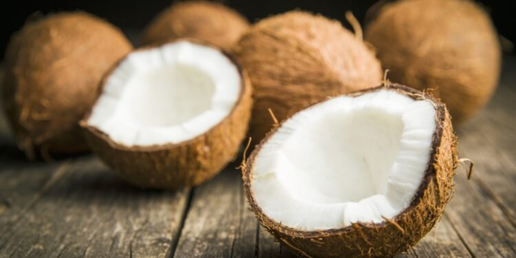 En 2023 las importaciones de coco de la UE tuvieron un valor de 146 millones de euros