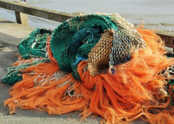 Bruselas presenta las posibilidades de pesca para 2025 en el mar Báltico