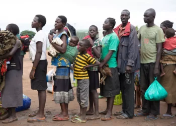 CIRCULARIDAD Y ESPONTANEIDAD MIGRATORIAS