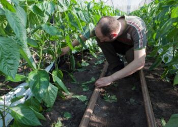 Von der Leyen recibirá mañana el informe final sobre estrategias en Agricultura
