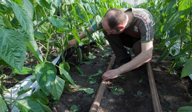 Von der Leyen recibirá mañana el informe final sobre estrategias en Agricultura