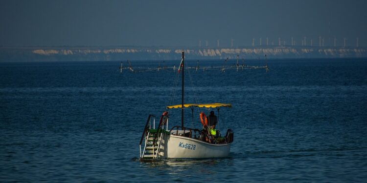 La Comisión toma medidas contra las capturas incidentales de delfines y pequeños cetáceos en el Golfo de Vizcaya