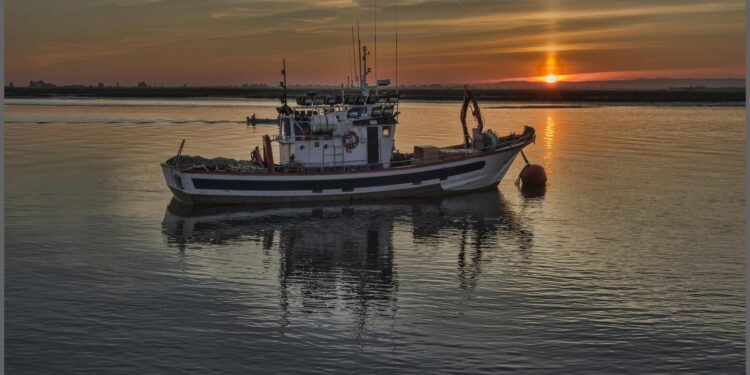 La Comisión propone un primer conjunto de posibilidades de pesca para 2025 en el mar Mediterráneo y el mar Negro