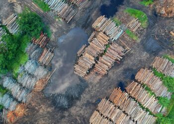 Brasil solicita a España apoyo para lograr la suspensión de la ley antideforestación de la UE