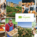 Conoce a los ocho ganadores de la tercera edición de los Premios Orgánicos de la UE