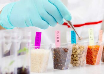 La Comisión analiza a los principales impulsores de la seguridad alimentaria en la UE y en todo el mundo