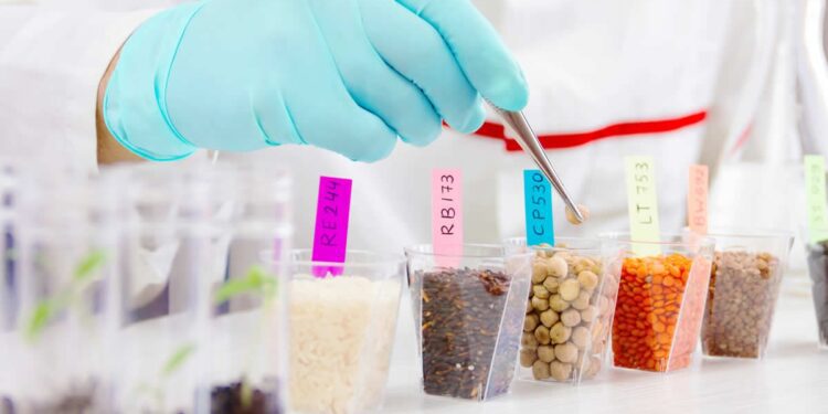 La Comisión analiza a los principales impulsores de la seguridad alimentaria en la UE y en todo el mundo