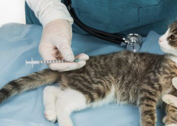 La Comisión adopta normas armonizadas sobre vacunación de animales