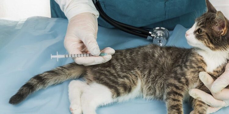 La Comisión adopta normas armonizadas sobre vacunación de animales