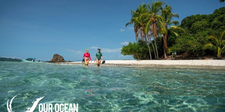 La UE anuncia nuevos compromisos para proteger el océano