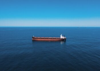 Nuevo acuerdo mundial para la protección y el uso sostenible de los recursos en alta mar