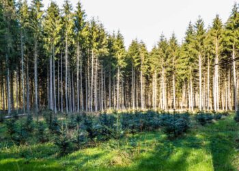 El Parlamento quiere aumentar la ambición climática de la UE para 2030