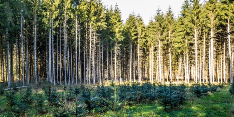 El Parlamento quiere aumentar la ambición climática de la UE para 2030