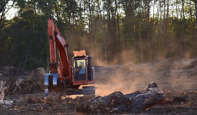 Bruselas impulsa una nueva ley para hacer frente a la deforestación global