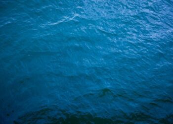 La Unión Europea destinará 106 millones de euros a proyectos que contribuyan a restaurar los océanos