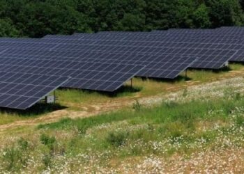 Los eurodiputados apuestan por un mercado eléctrico más asequible y amigable para el consumidor