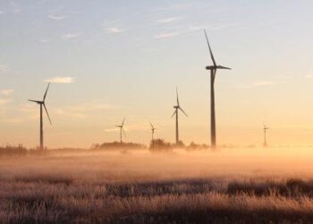 Eurobarómetro: La mayoría de europeos quiere una transición verde más rápida