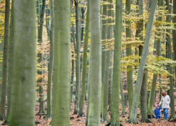 La Presidencia española considera que la UE debe acelerar la transición ecológica