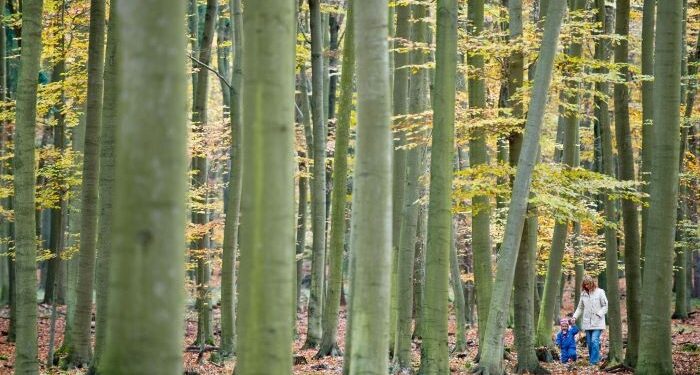 La Presidencia española considera que la UE debe acelerar la transición ecológica