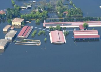 El Consejo fija la posición de la UE para la cumbre de la ONU sobre el clima en Dubai
