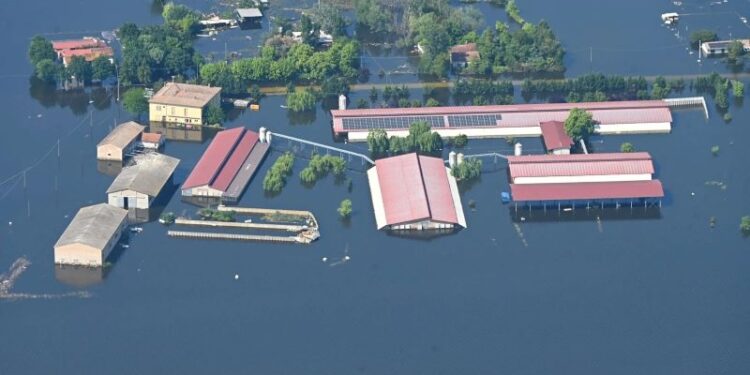 El Consejo fija la posición de la UE para la cumbre de la ONU sobre el clima en Dubai