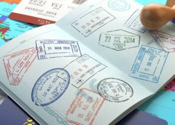 El Consejo da luz verde a la digitalización del procedimiento de visado