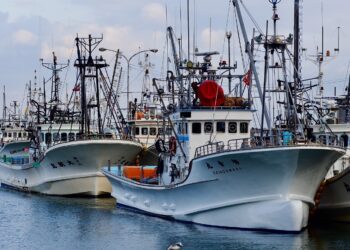Bruselas incrementa el control de la pesca en el Mediterráneo y el Mar Negro