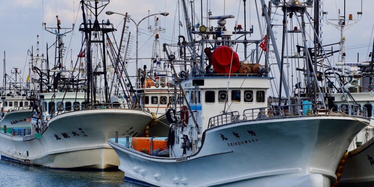 Bruselas incrementa el control de la pesca en el Mediterráneo y el Mar Negro