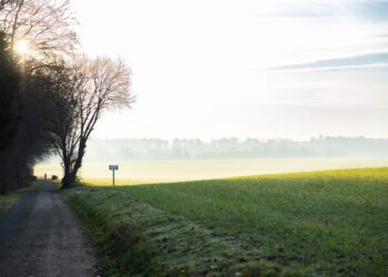 Bruselas anuncia que renovará el glifosato 10 años más