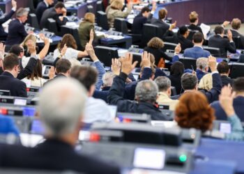 El Parlamento vota a favor del marco de certificación para la eliminación del carbono