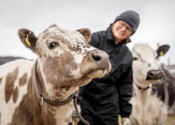 La Comisión propone nuevas normas para mejorar el bienestar de los animales