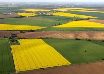 La Comisión multa al productor de etanol Lantmännen con 47,7 millones por cártel de referencias del etanol