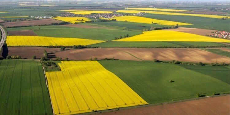 La Comisión multa al productor de etanol Lantmännen con 47,7 millones por cártel de referencias del etanol