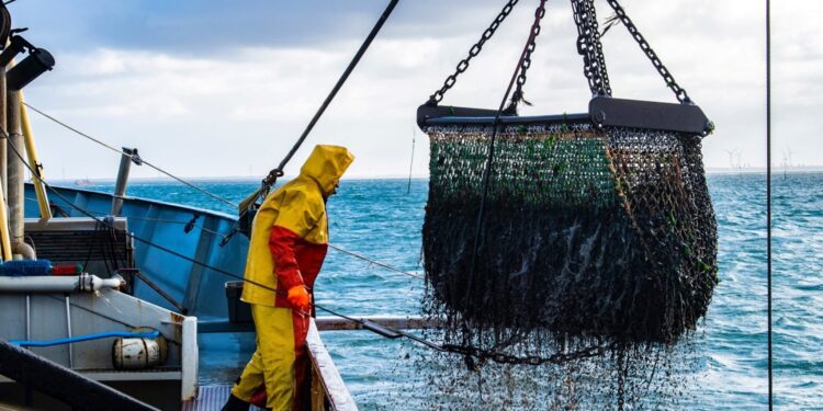 Acuerdo pesquero entre la UE y el Reino Unido para 2024