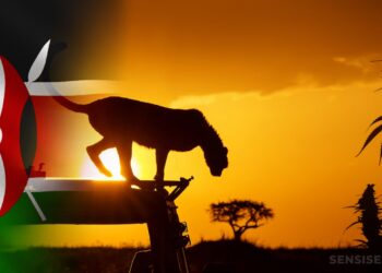 UE-Kenia: Acuerdo de Asociación Económica