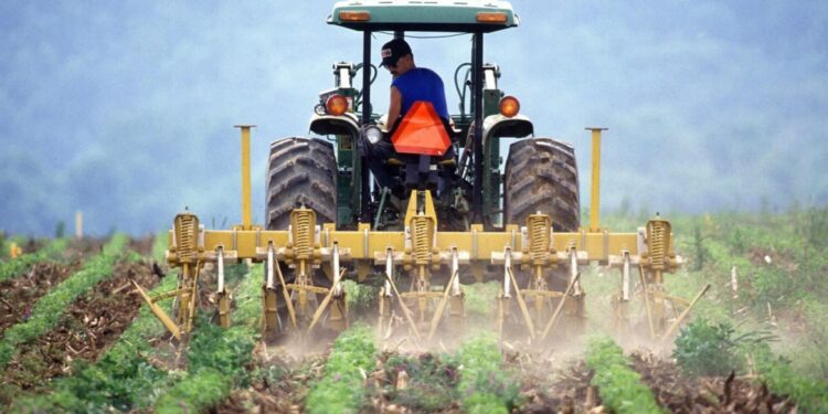 La productividad laboral agrícola de la UE cae un 7% en 2023